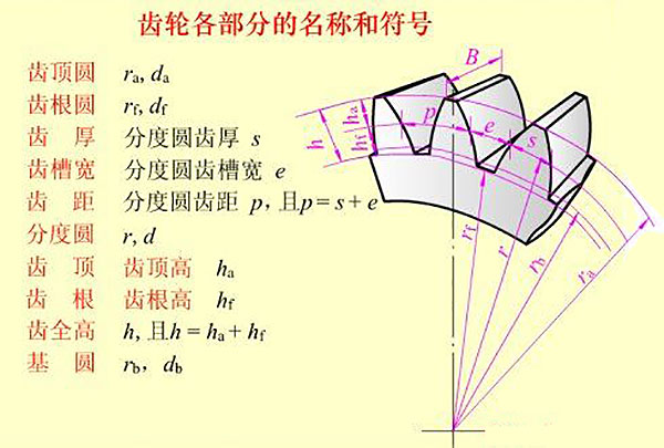 齒輪各部分的名稱和符號